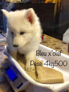 43183e8d-e163-4d8f-ba1c-e4ed8879dd44