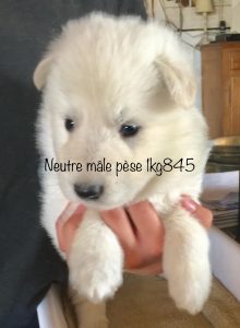 6e54192f-ca3d-4441-bfd8-58d3ec17d907