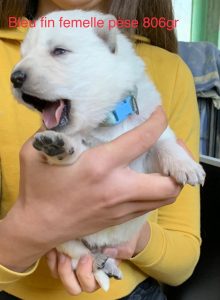 79414545-34f1-4e02-830b-faab70551c6f