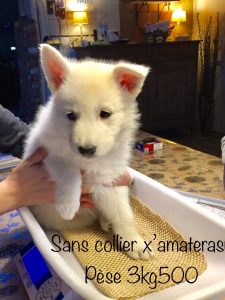 7aa71088-b1d3-4d33-a0ea-3f0569be4b9c