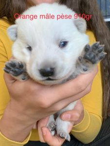 a4594514-77a9-42d2-a413-29b9191401c8