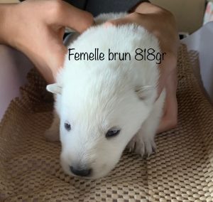 adc2d82c-3553-41b2-8d21-0f881a03a312