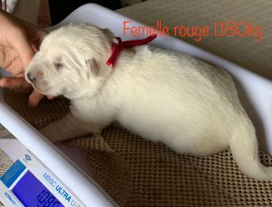 b093e5d1-8b66-402f-acd0-3bc40e770f22