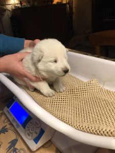 be2b45b3-dfef-4552-9418-3087a8712eba