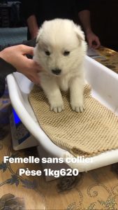 c8c2277a-ac93-42e6-b469-2e2b3ed23b2a