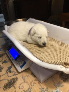 d138c9f1-7782-402a-a716-18b0e2f244d7