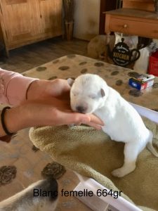 e2e663fd-f952-4f71-a173-21b801cf164e