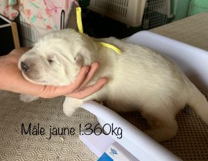 ec7a6b95-3683-4566-aa44-5e4f1ca54b4e